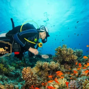 El-buceo-en-Hurghada