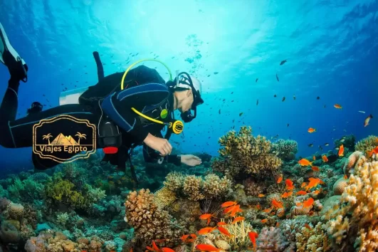 El-buceo-en-Hurghada