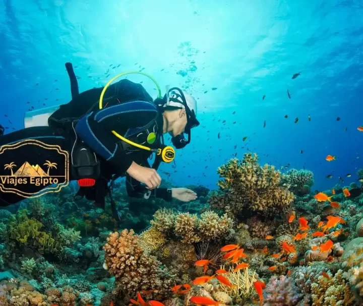 El-buceo-en-Hurghada