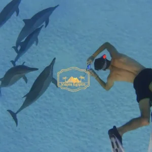 la-Casa-de-los-Delfines-en-Hurghada